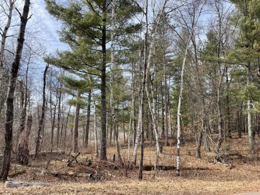 TBD Edna Lane, Nisswa, MN 56468