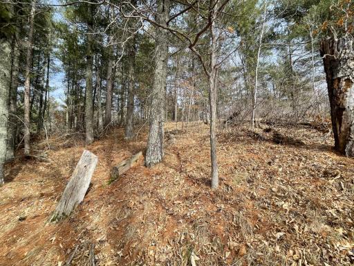 TBD Edna Lane, Nisswa, MN 56468