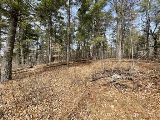 TBD Edna Lane, Nisswa, MN 56468
