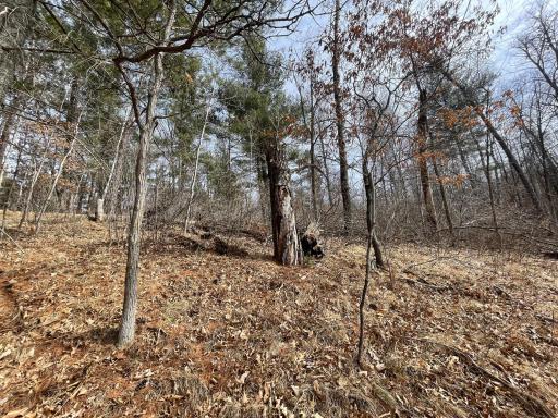TBD Edna Lane, Nisswa, MN 56468