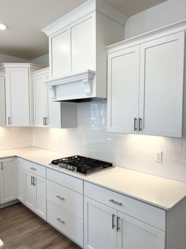 Designer PLUS gourmet kitchen cooktop and hood. STUNNING!
