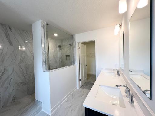 Primary suite serenity bathroom and walk in closet.