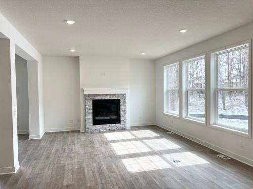 Great room overlooking HUGE private and wooded backyard!