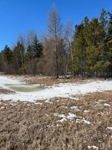 TBD County Road 1 S County Road 1 Road N, Baudette, MN 56623
