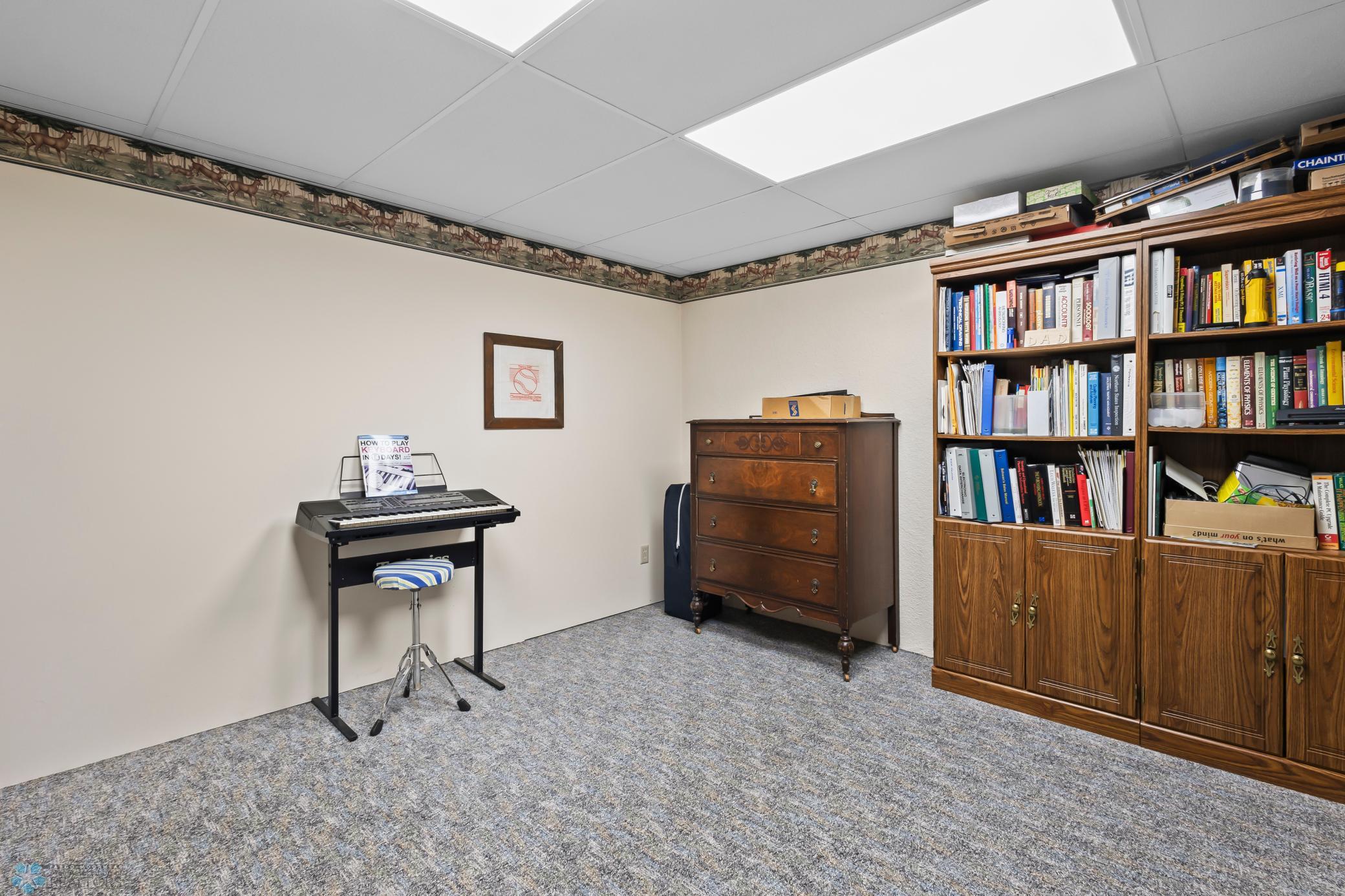Lower Level Bonus Room #2