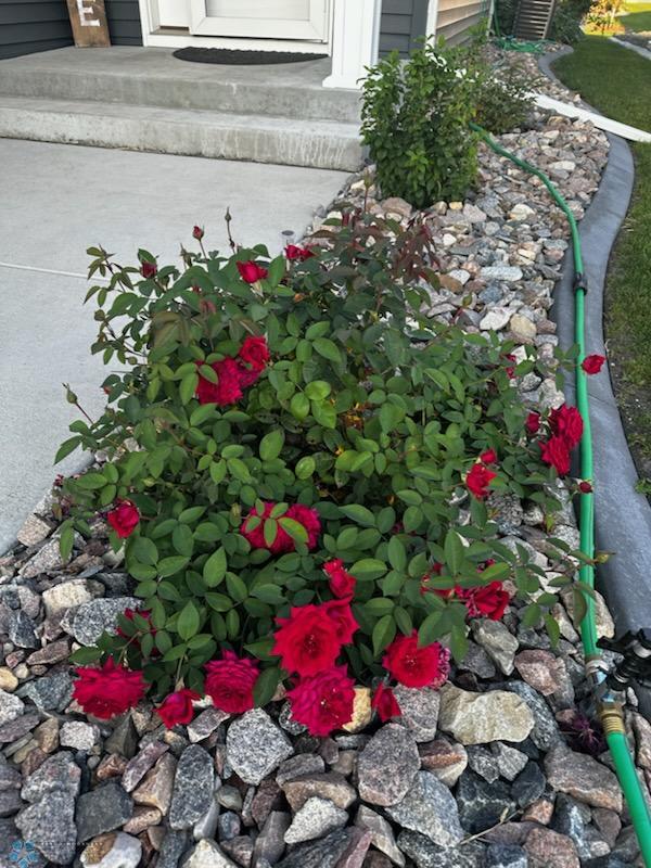 (35) Landscaping.jpg