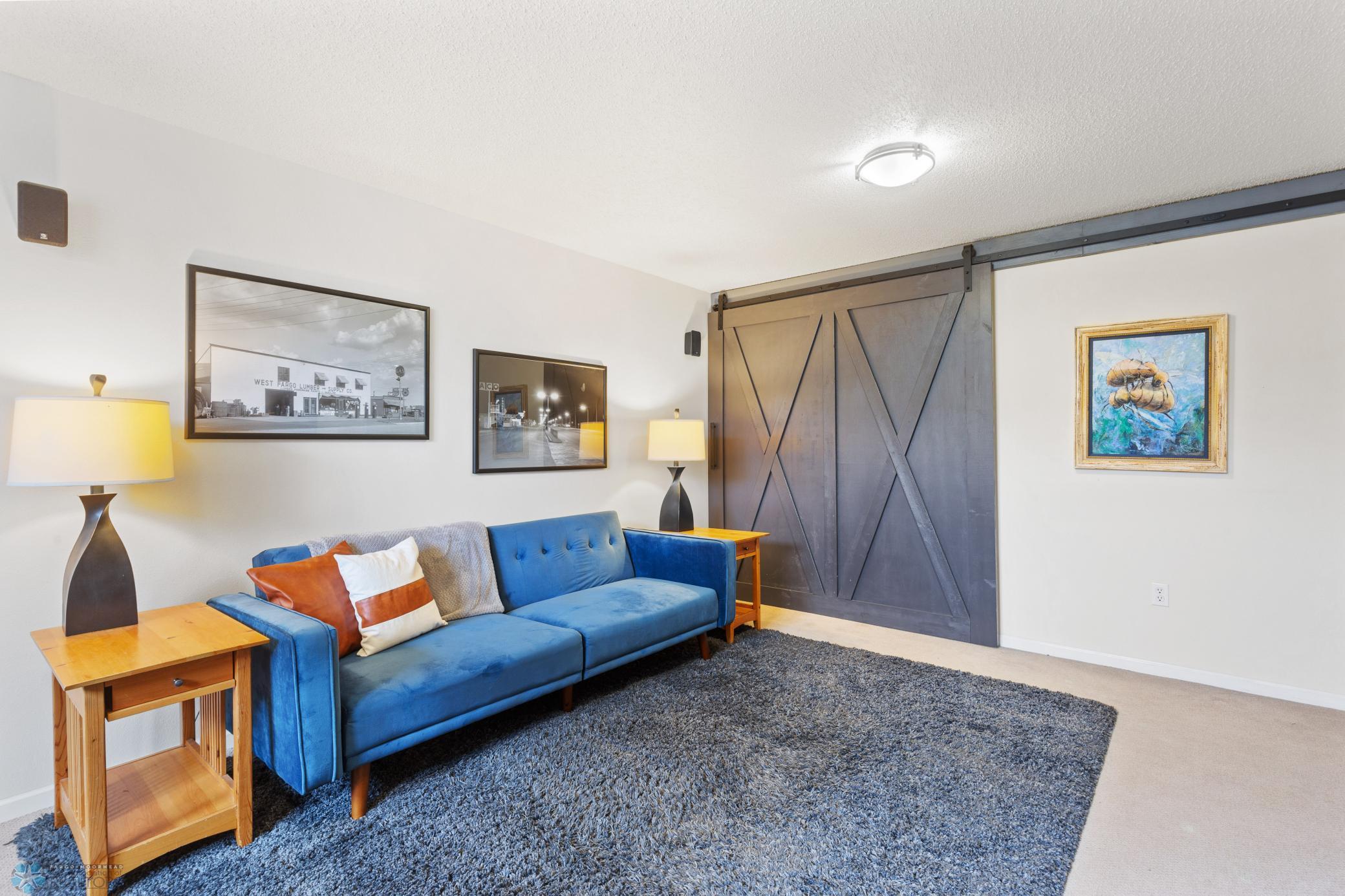 Family Room - Barn Door