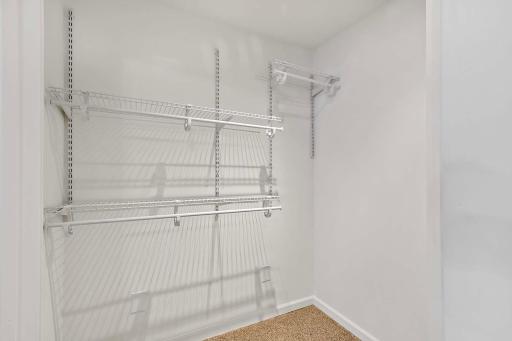 Spacious walk-in closet in lower level bedroom/office