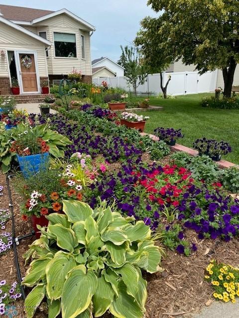 Previous landscaping in front of home