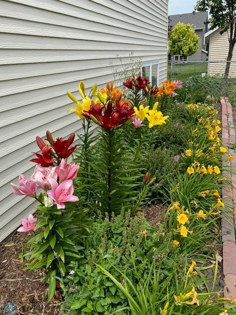 Many perennials!