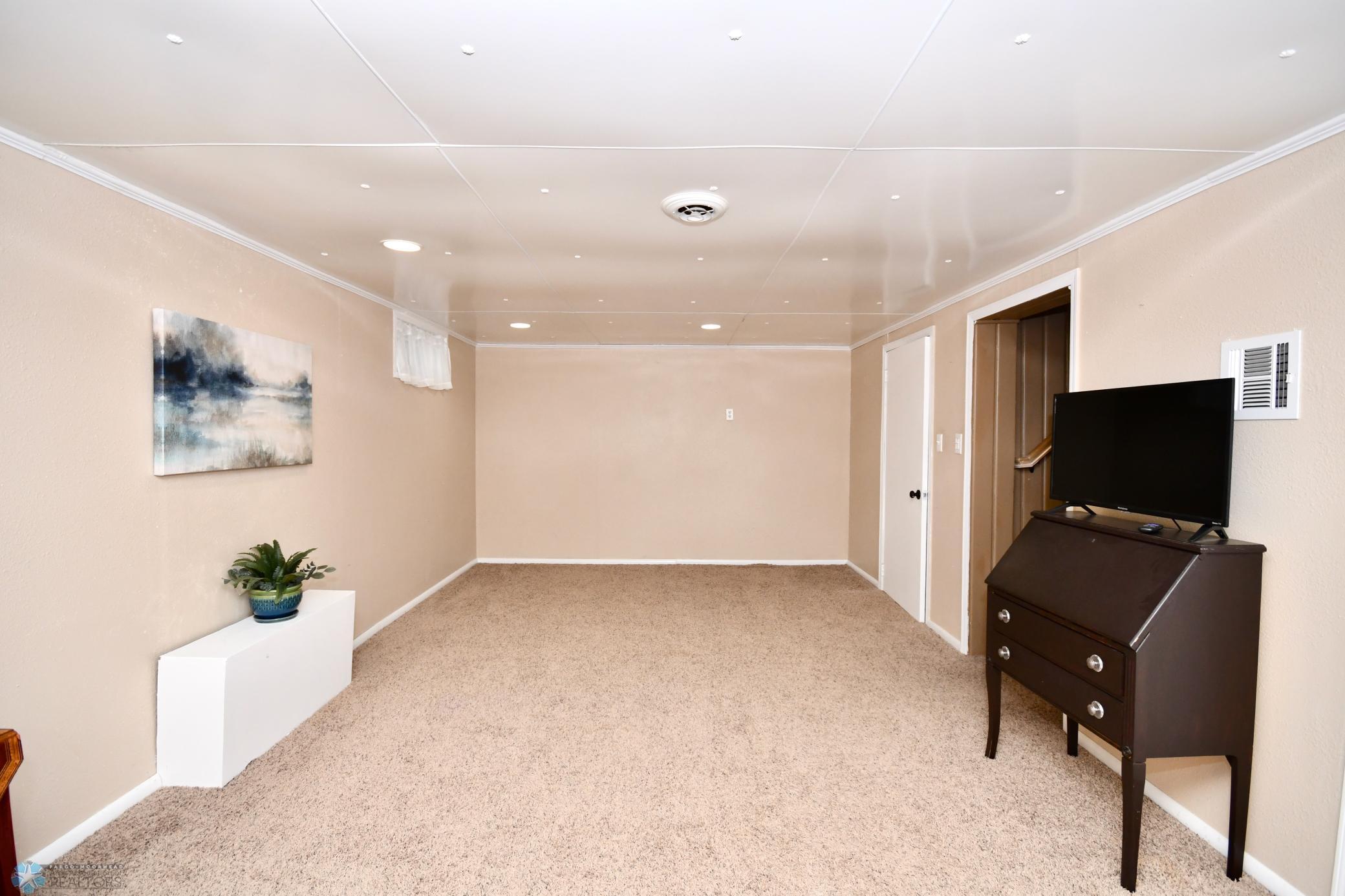 Basement Family Room