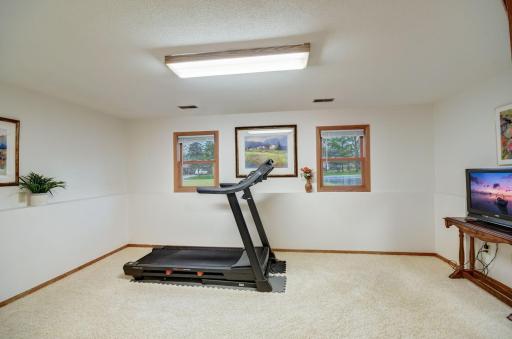 Flex Room (Family Room, Bedroom, Exercise Area)