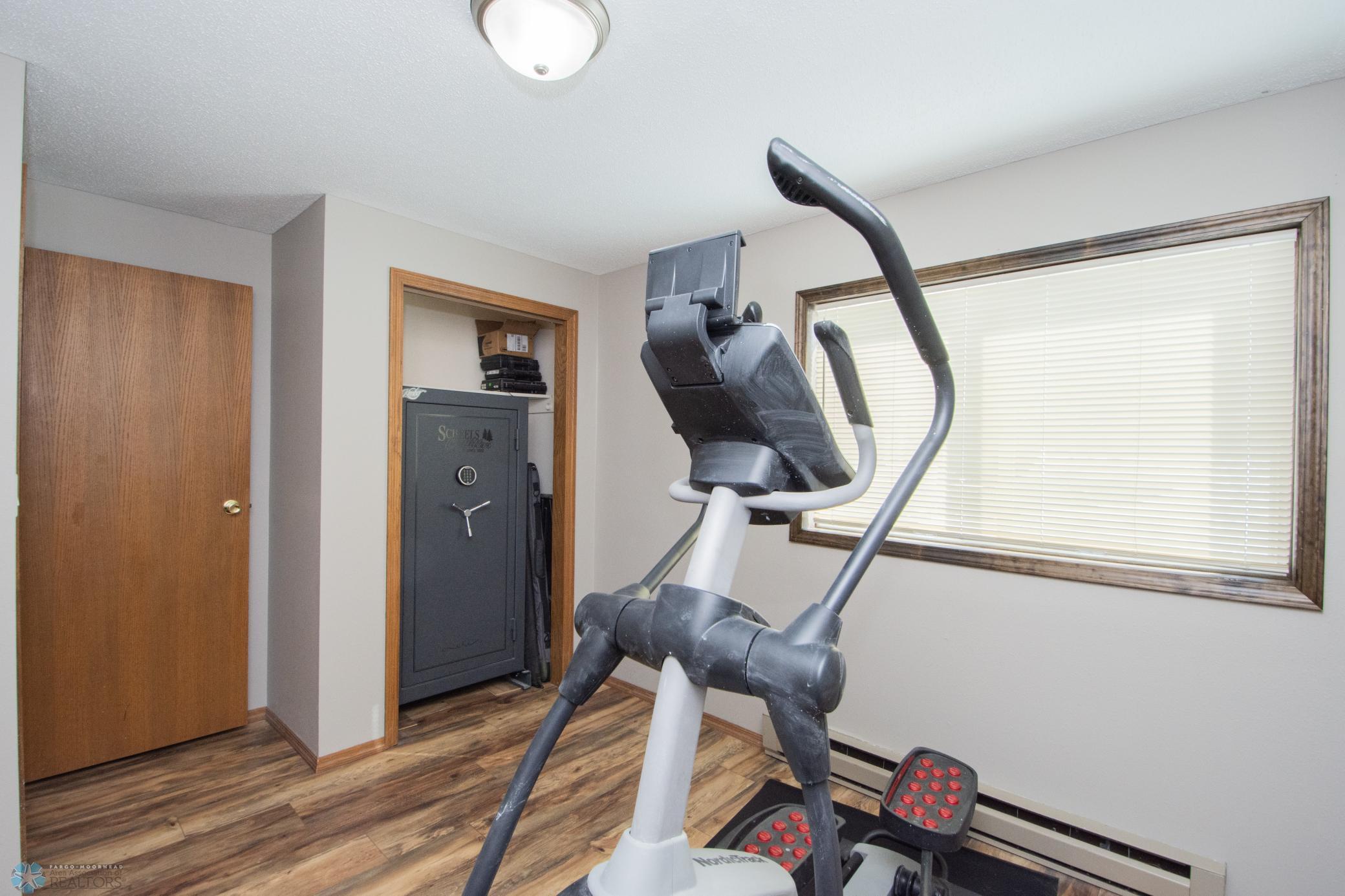 Lower Level Bedroom