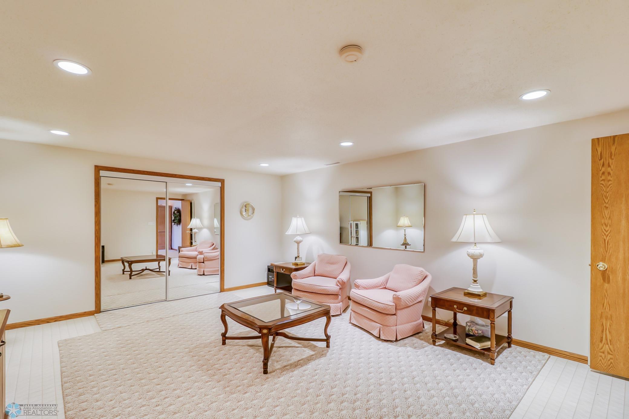 Basement multi-media room