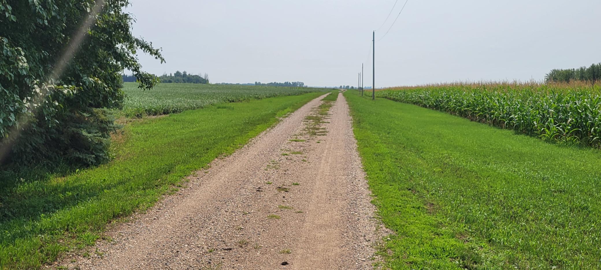20230808_133336.jpg