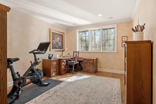 Lower level bedroom is currently used as an office.