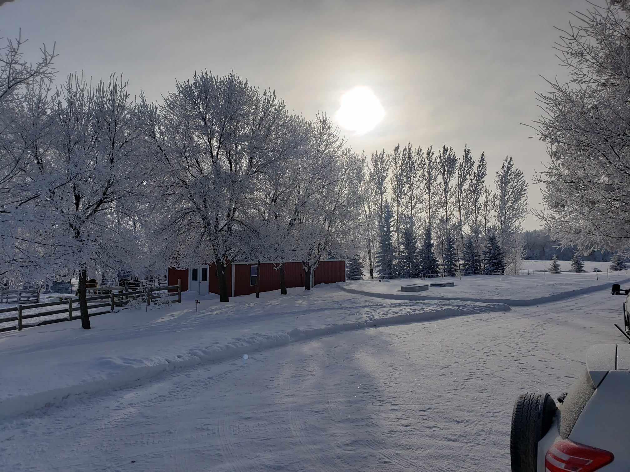 Winter