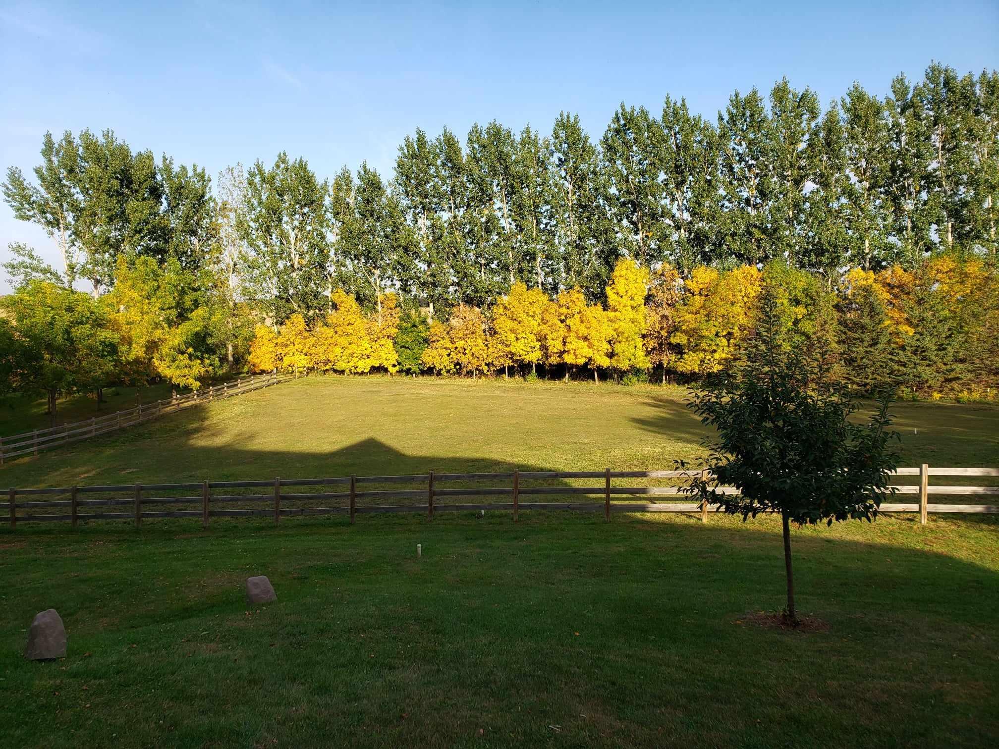 Fall