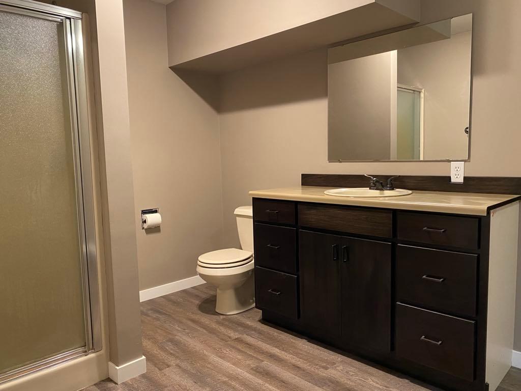 Lower Level Bathroom