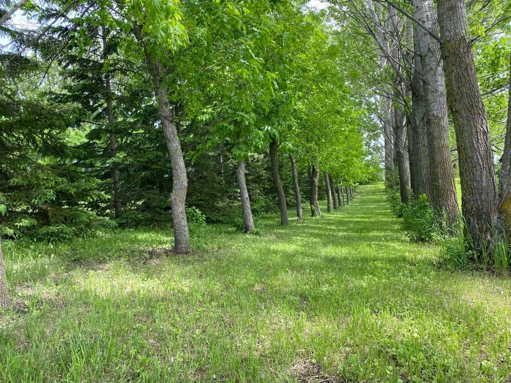 Groomed trails around perimeter