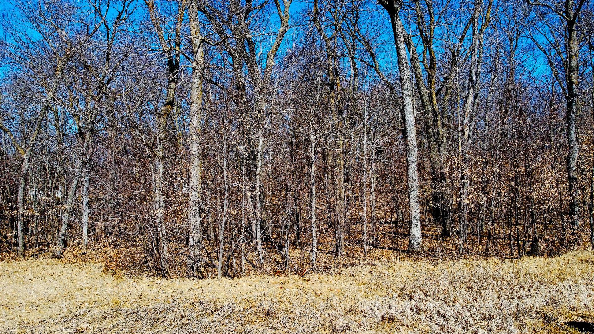 DJI_0137.JPG
