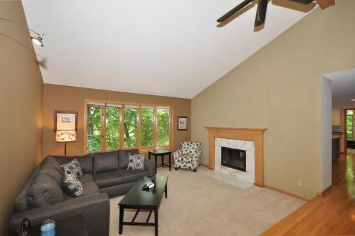 3545 Ivy Place, Orono, MN 55391
