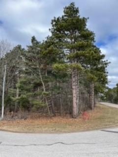 xxxxx County Rd 24, Wabasha, MN 55981