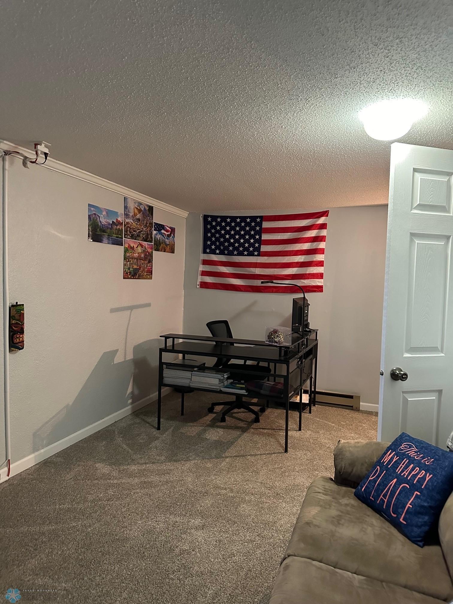 Basement Flex Room 1.jpg