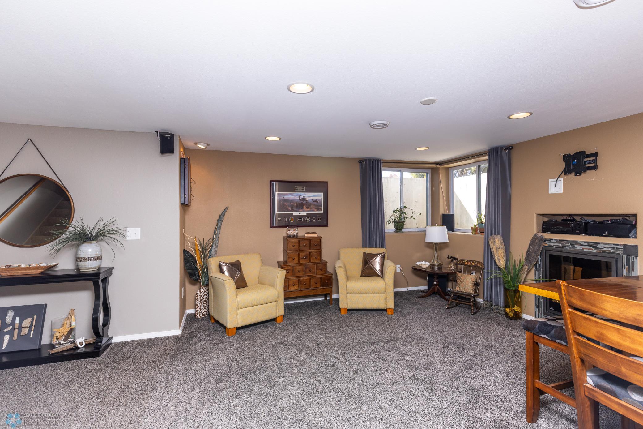 Basement Living Room