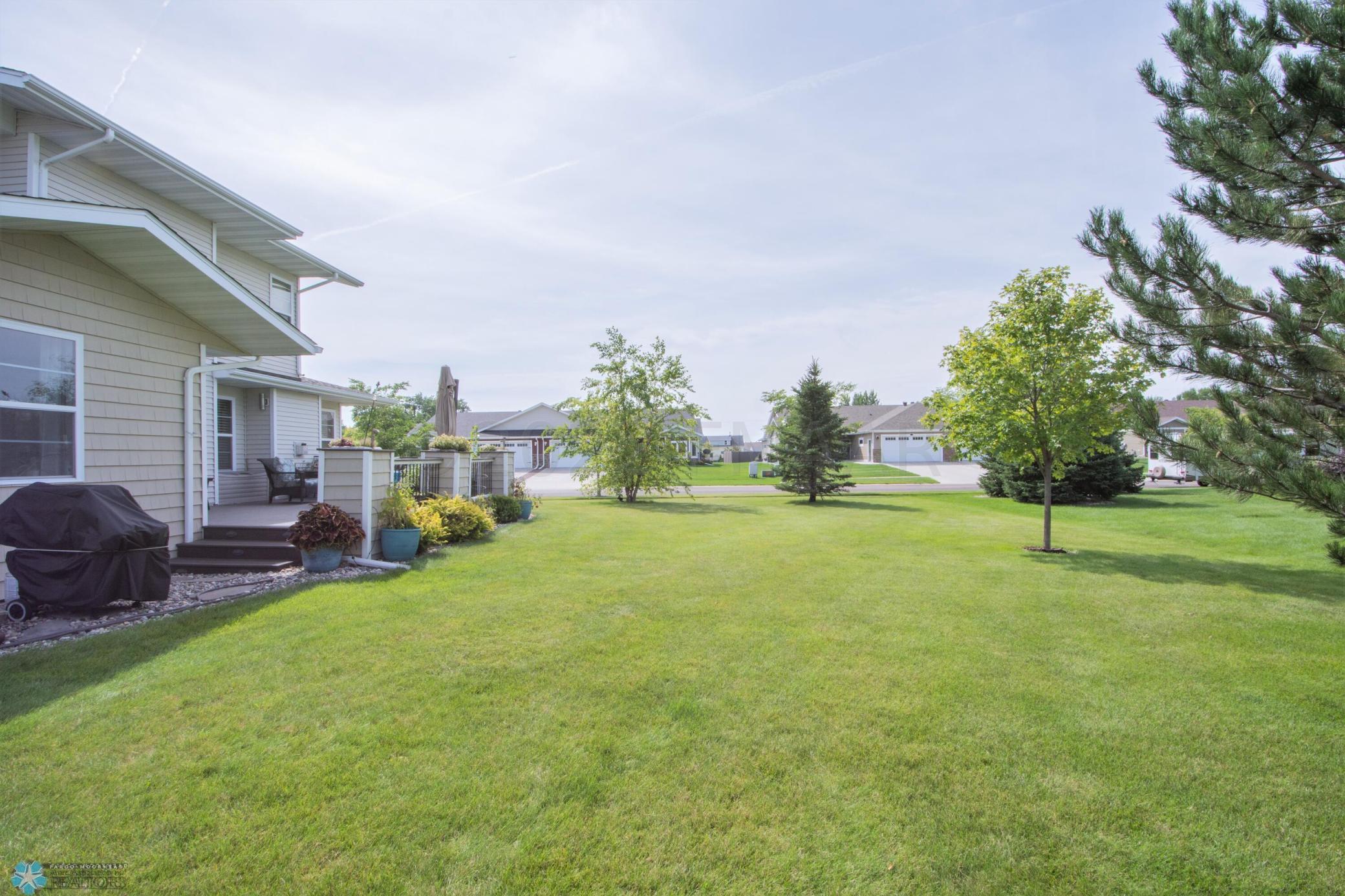 Backyard Summer View