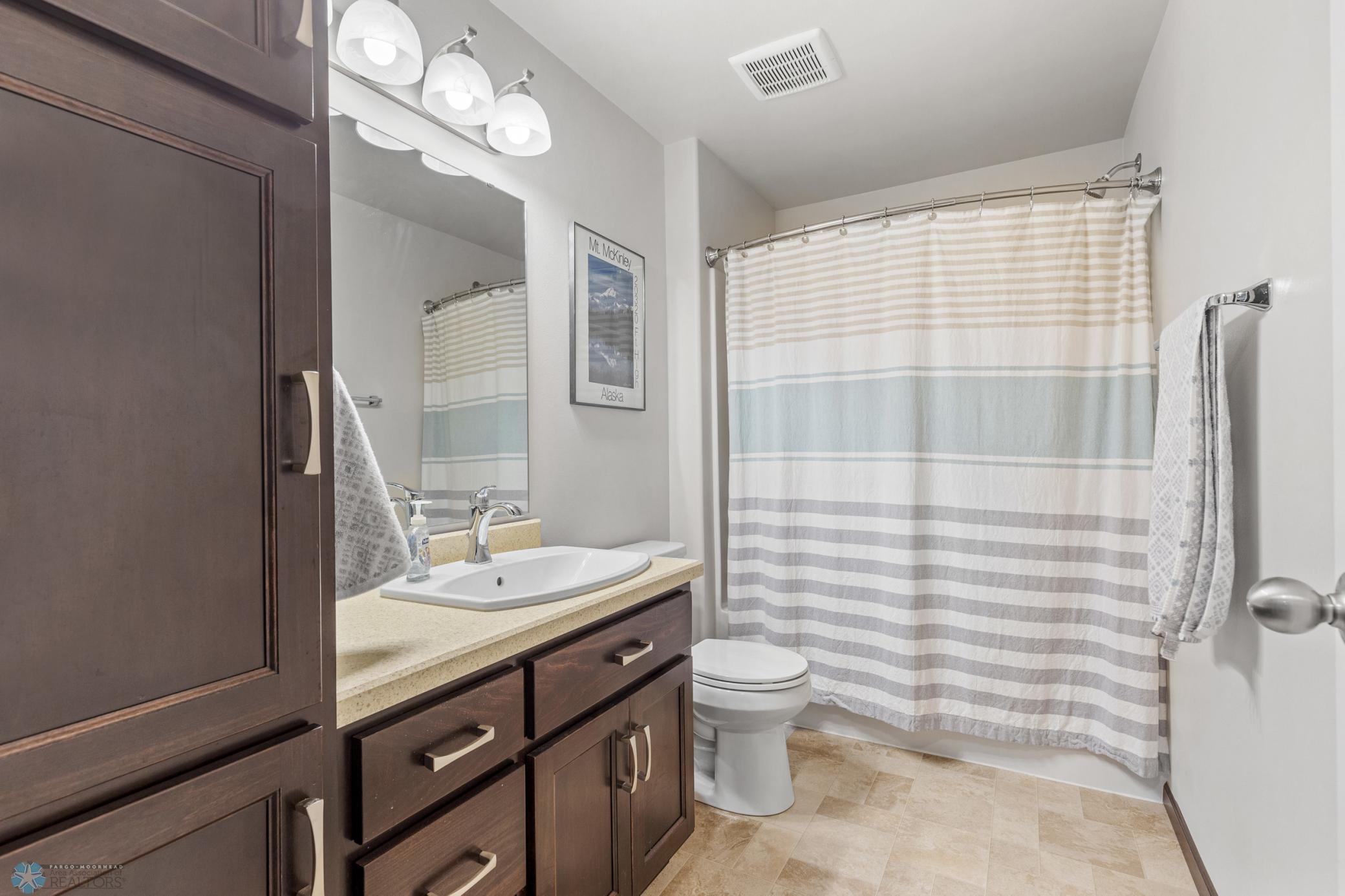 Lower level Bathroom