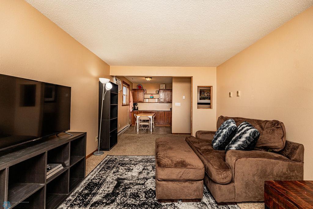 Lower Level Living/Dining