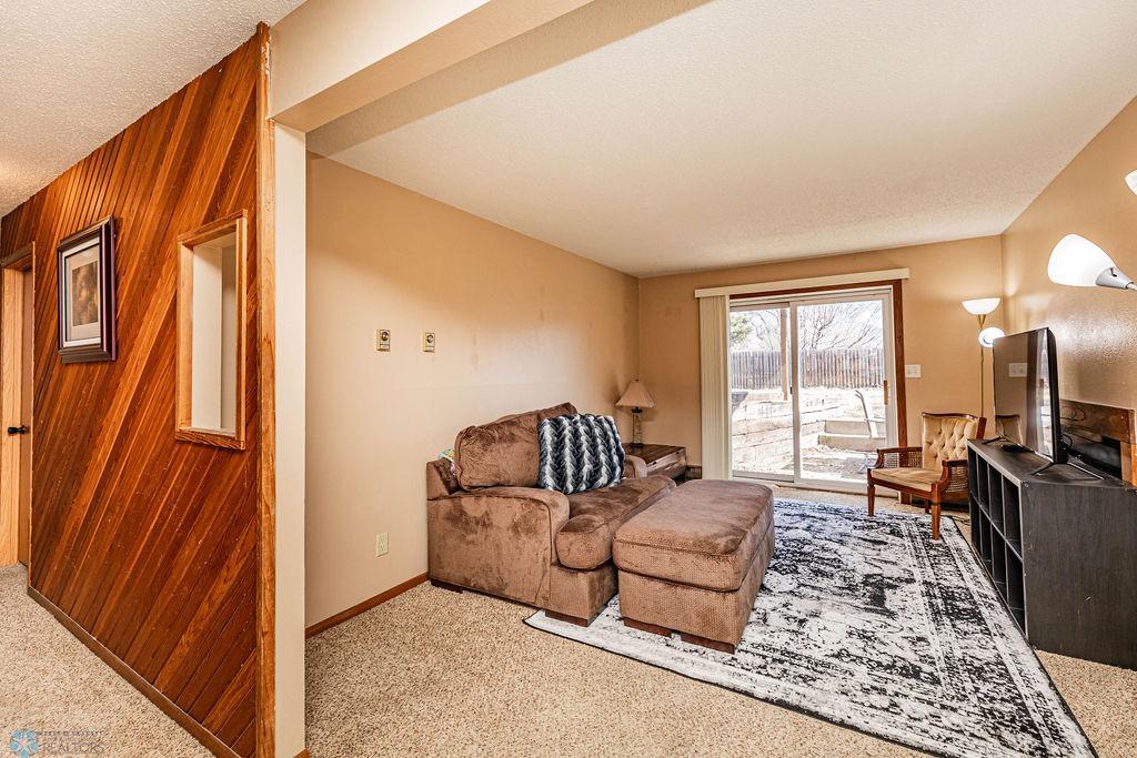 Lower Level Living Room