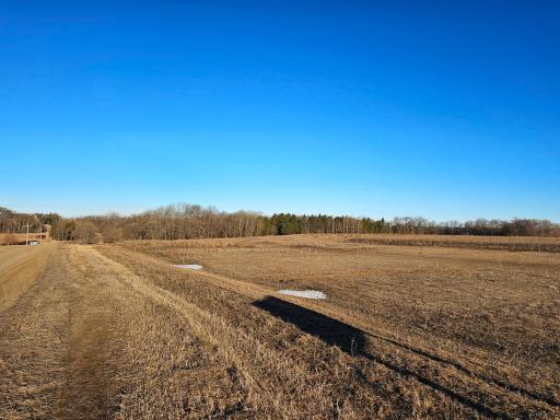 Long View Storage CIC