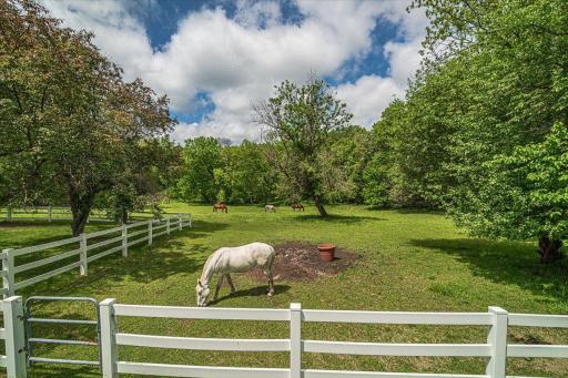 The property has all the features necessary to keep horses active and healthy.