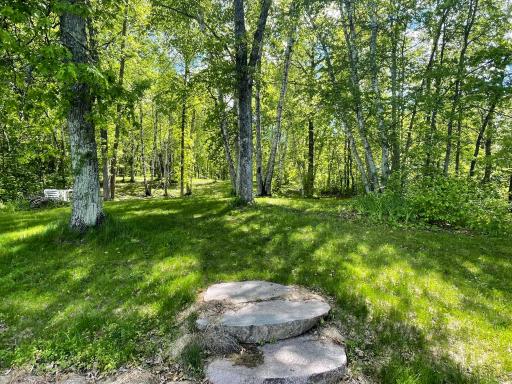 15336 Birch Narrows Road, Crosslake, MN 56442