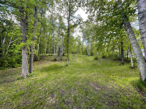 15336 Birch Narrows Road, Crosslake, MN 56442