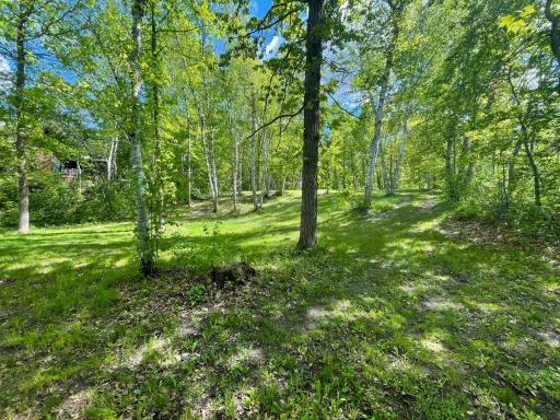 15336 Birch Narrows Road, Crosslake, MN 56442