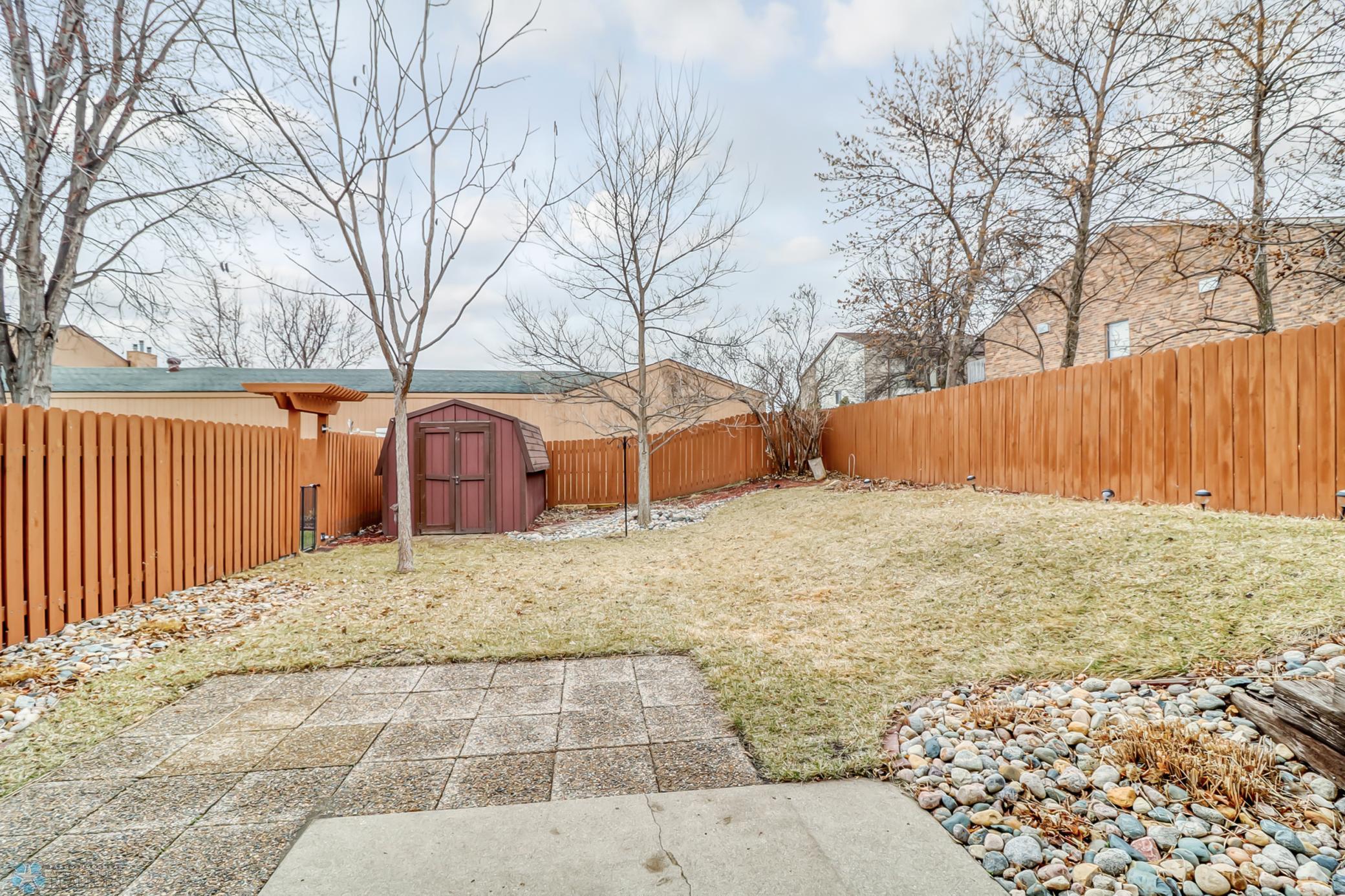 Backyard1_2.jpg