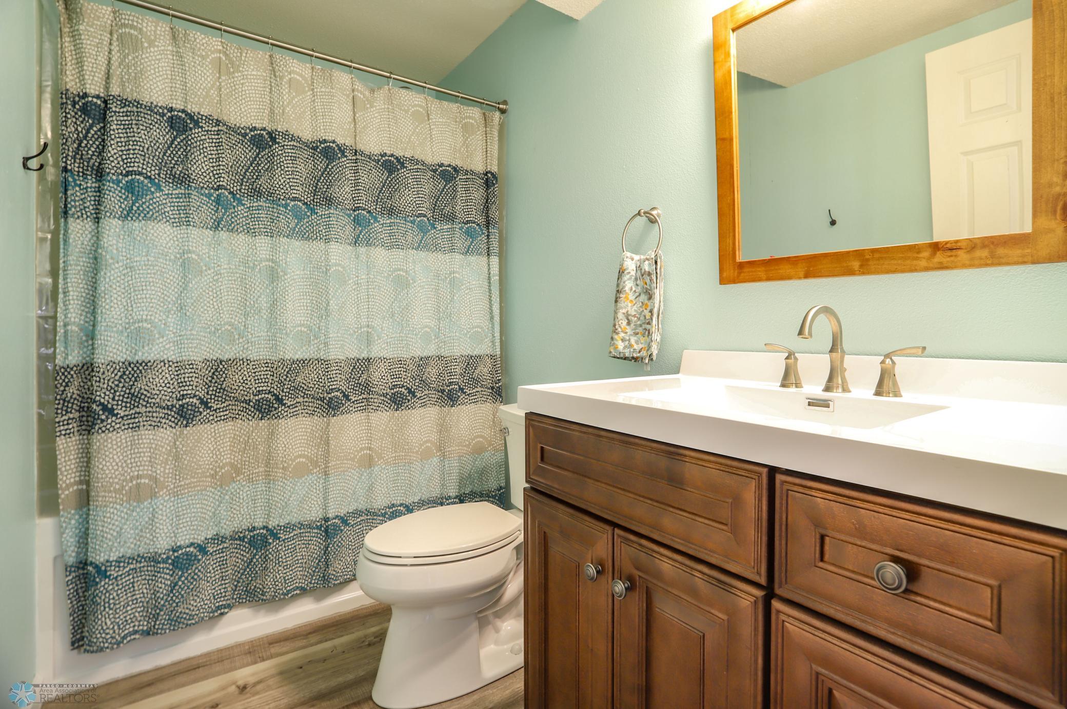 lower level bathroom