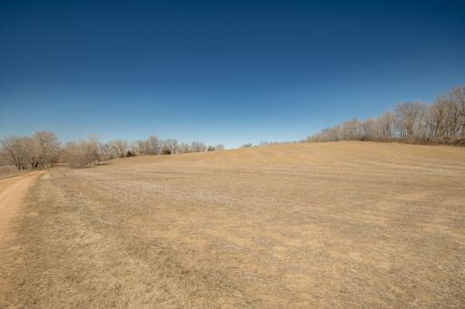 4550 Six Mile Creek Road, Minnetrista, MN 55375