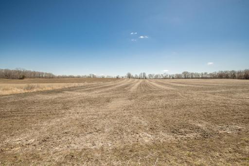 4550 Six Mile Creek Road, Minnetrista, MN 55375