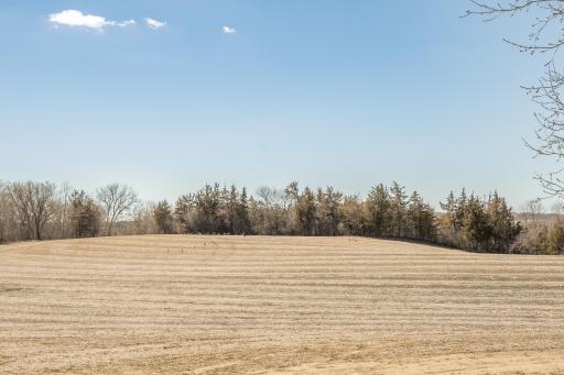 4550 Six Mile Creek Road, Minnetrista, MN 55375