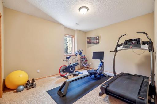 Bedroom #5 is currently used an exercise room