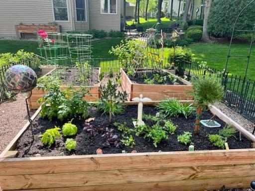 Garden boxes allow for easy planting, maintenance and enjoyment