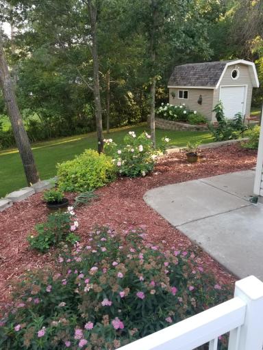 Mature plantings fill in the areas around the deck and patio. From hosta to roses, potentilla and more!.jpg