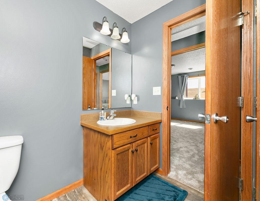 Lower Level Bathroom