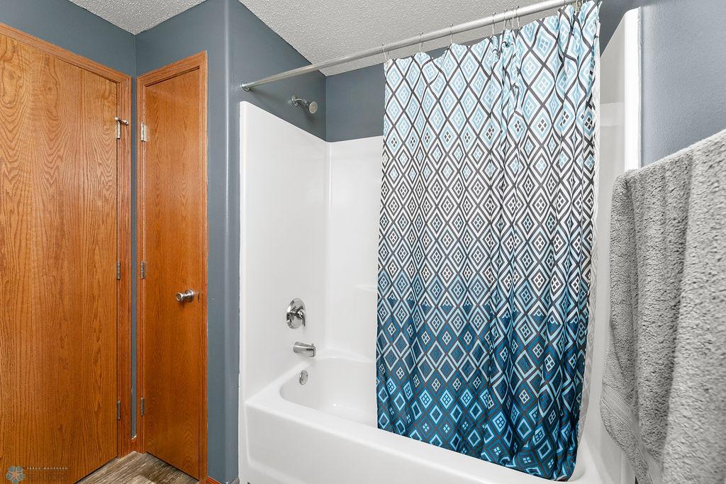 Lower Level Bathroom