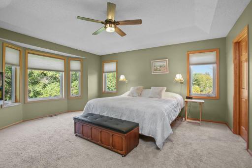 Upper-Level Owners Bedroom Suite Looks out to Beautifully Treed Private Back Yard