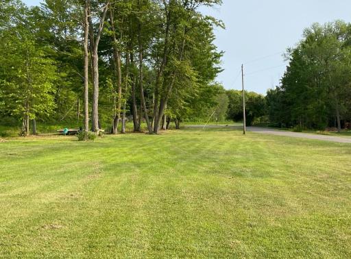 More summer views of the yard....this lot goes all the way to the end of the road where it intersects at 328th and 329th Ave...